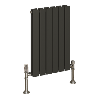Anthracite Horizontal Double Thekla Flat Panel Designer Radiator