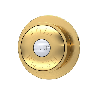 Brushed Brass Traditional Dual Flush Push Button