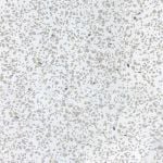 White Sparkle PVC Bathroom Cladding - 250mm x 2700mm