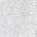 White Sparkle PVC Bathroom Wall Panel - 5mm - 250mm x 2600mm - Tradeline